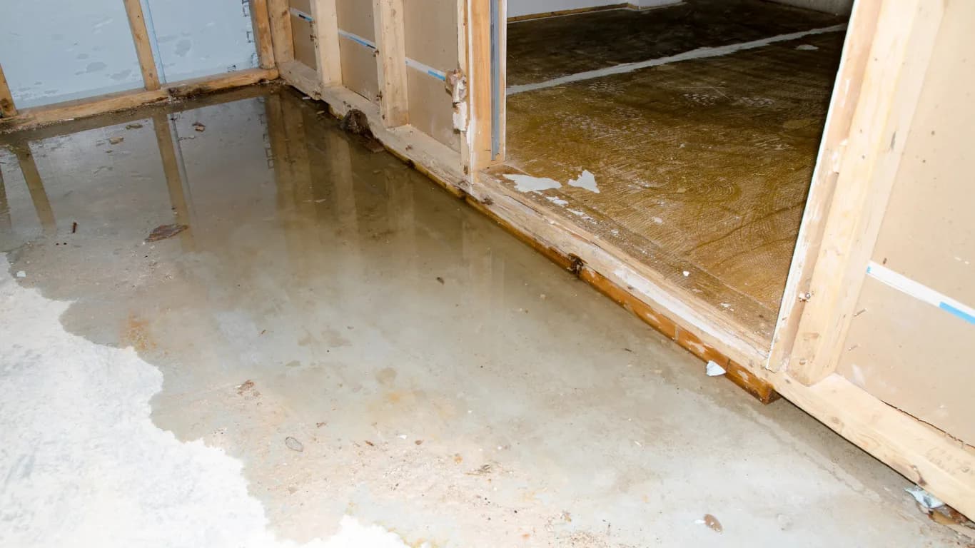 Sump Pump Systems